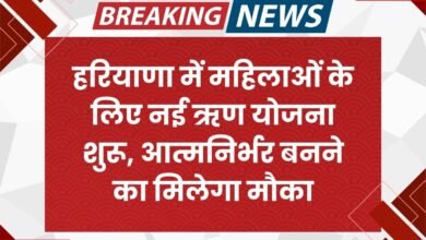 New loan scheme started for women in Haryana, they will get a chance to become self-reliant